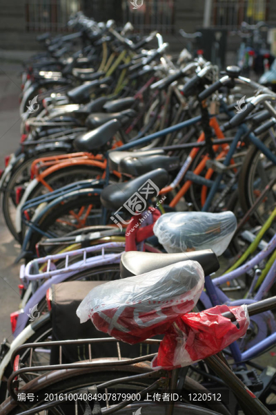 在阿姆斯特丹bicykle