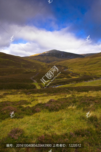 Cairngorm山
