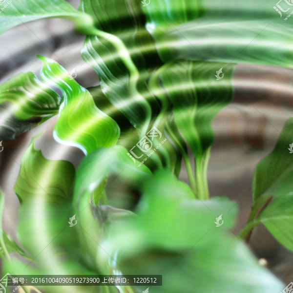 水