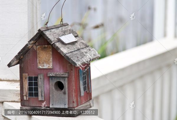 鳥舍