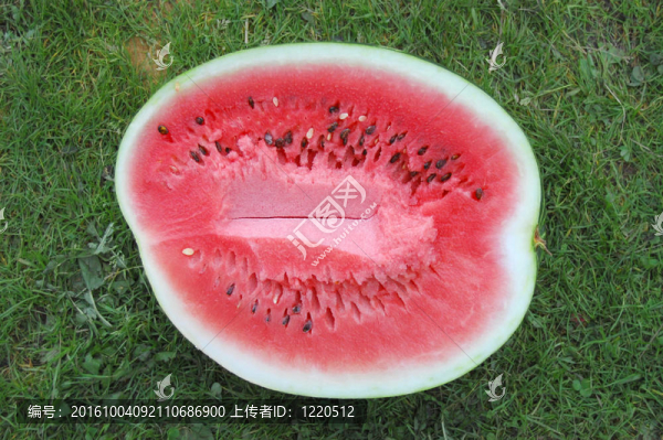 一半的西瓜對青草
