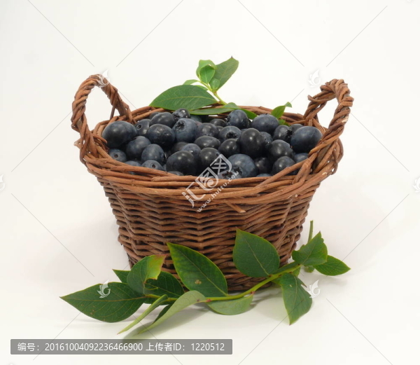 籃子里的藍莓