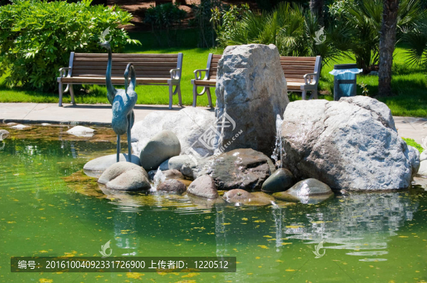 夏天的花園
