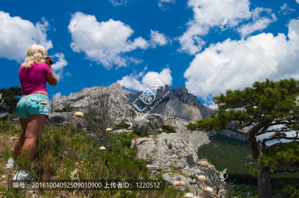 AI,Petri山