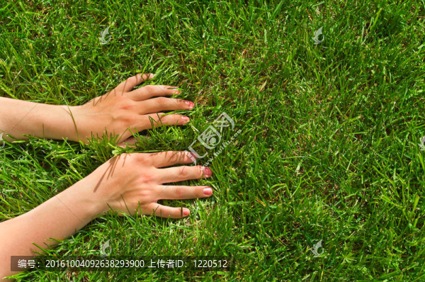 手中的草