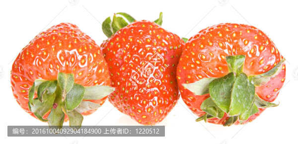 白色背景草莓