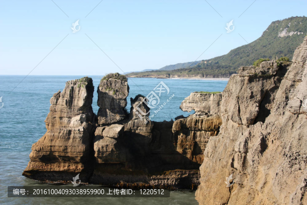 新西蘭