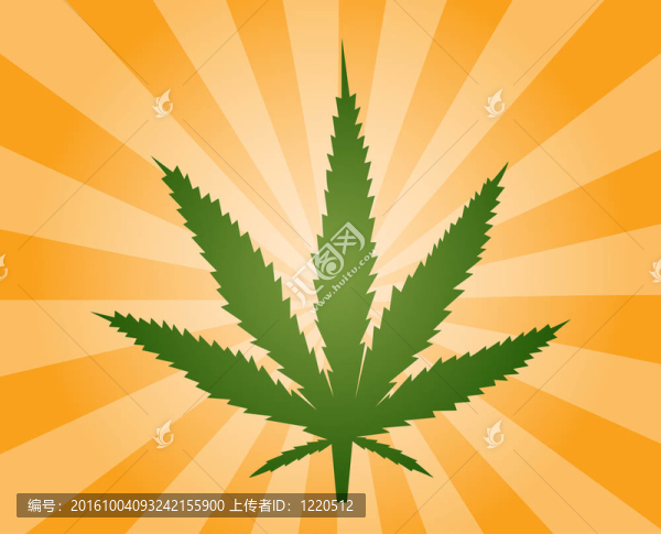 大麻葉插圖