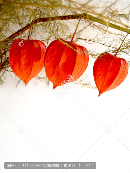 萬圣節(jié)