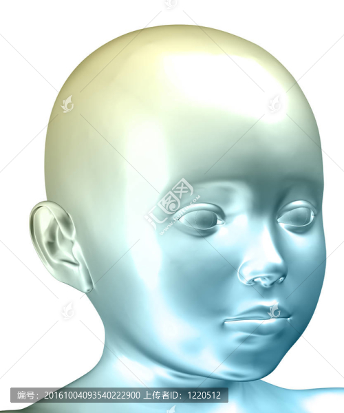白頭上的頭