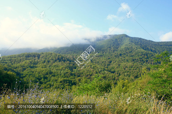 山與云的場景