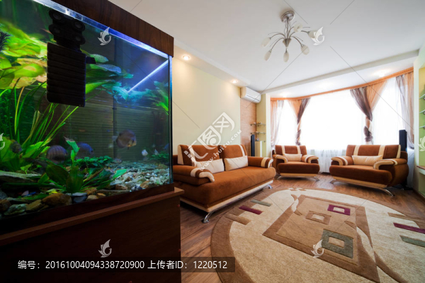 在一個(gè)房間里的水族館