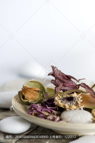 干燥的花依舊
