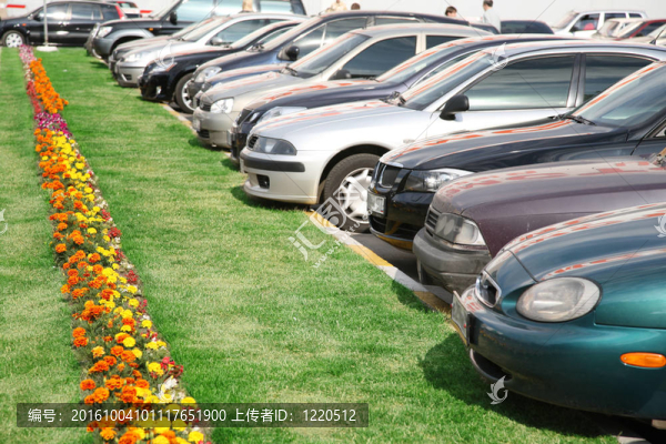 草坪附近的停車場