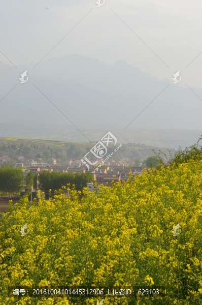 山村