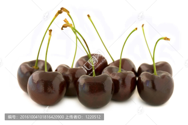 紅櫻桃群