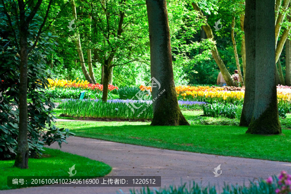 庫(kù)肯霍夫公園