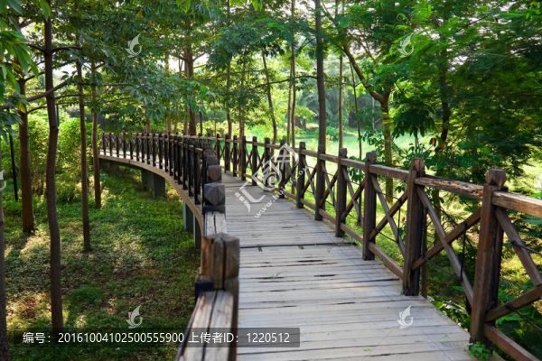 木橋