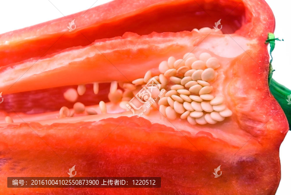 紅辣椒