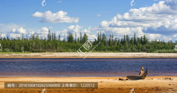 夏季自然景觀
