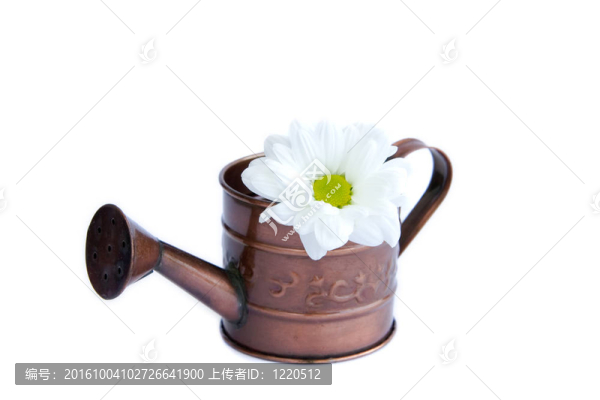 白水花