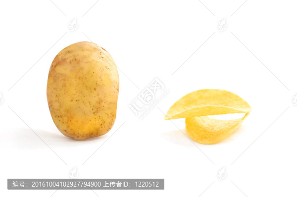 白色背景上的土豆