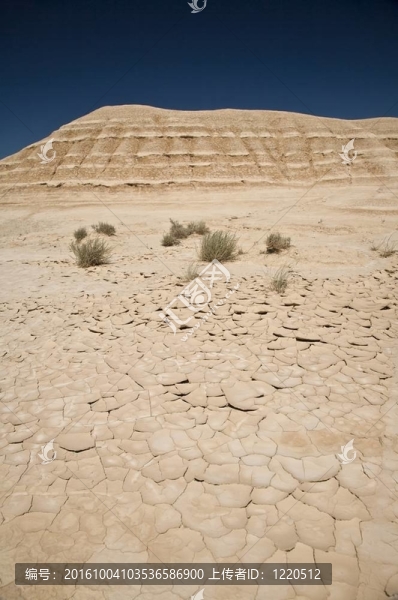 在干旱的Bardenas,Reales