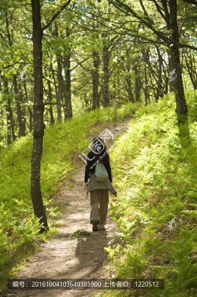 女人在迷人的森林里徒步旅行