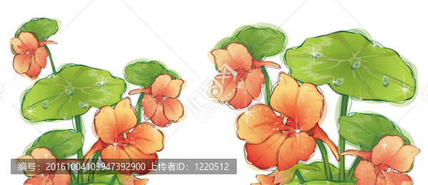 花