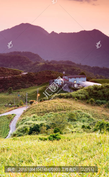 農(nóng)場里的早晨日出