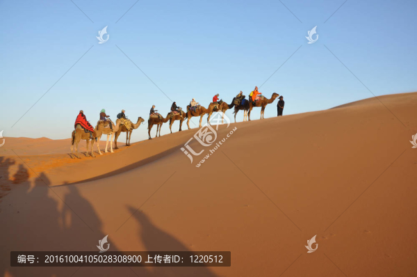 在撒哈拉沙漠的梅爾祖卡駱駝之旅；摩洛哥；北非