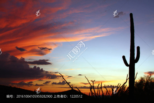沙漠落日