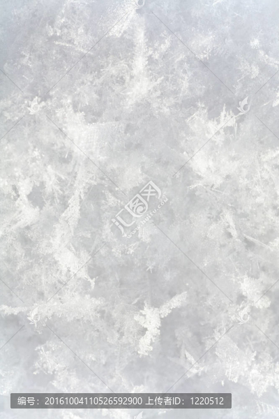 雪面