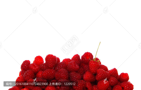 覆盆子