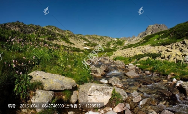 夏日的山溪