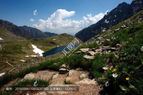 在湖和花的山上走小路