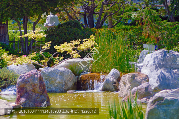 美麗的花園