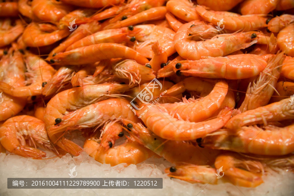 鮮蝦