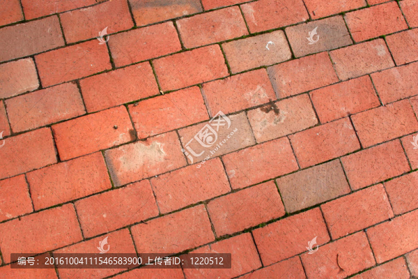 墻和地板紋理06