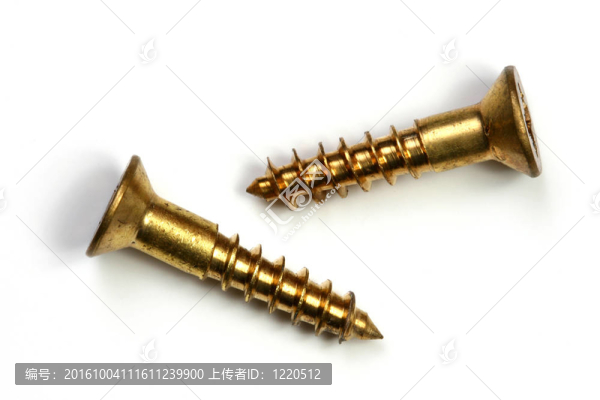 一對青銅螺絲