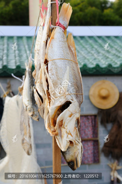 咸魚干