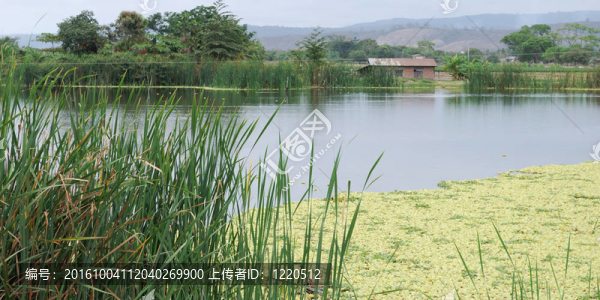 風(fēng)景如畫(huà)的湖泊