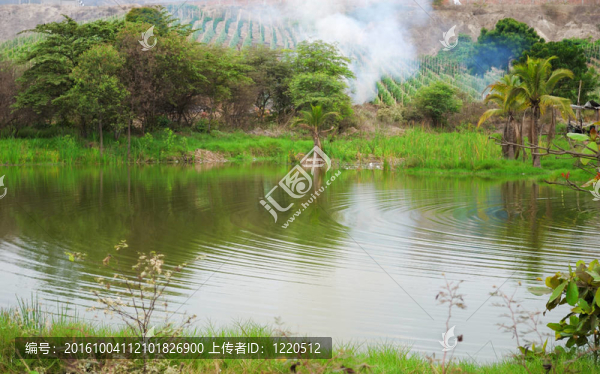 鄉(xiāng)村景觀
