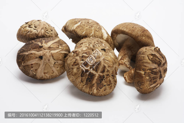 香菇