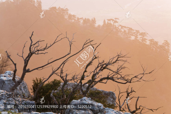 黎明的風(fēng)景