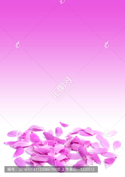 花瓣