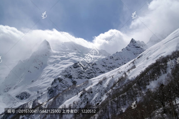 山
