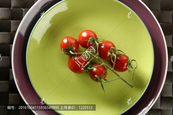 紅櫻桃番茄分公司