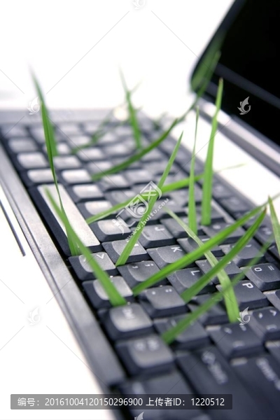 計算機鍵盤草；隱喻