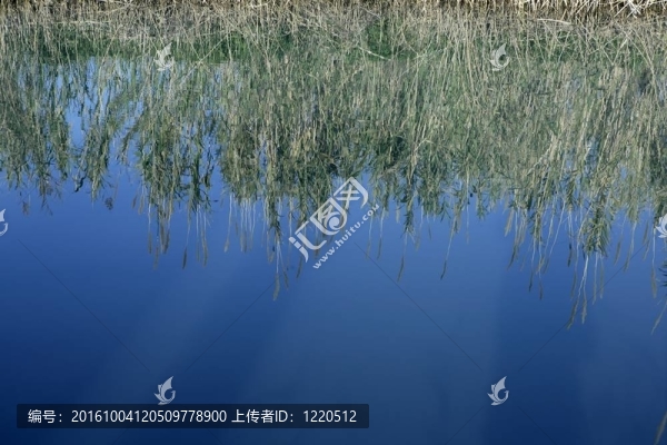河上的花；藍(lán)色的天空
